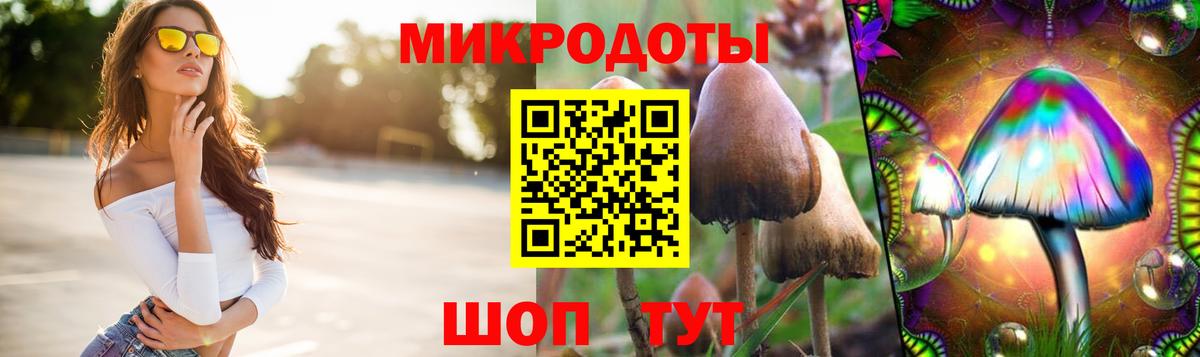 Новотроицк  как найти наркотики  Галлюциногенные грибы Psilocybine cubensis  Вход с VPN  Галлюциногенные грибы Psilocybine cubensis 